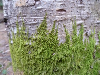 P1090693